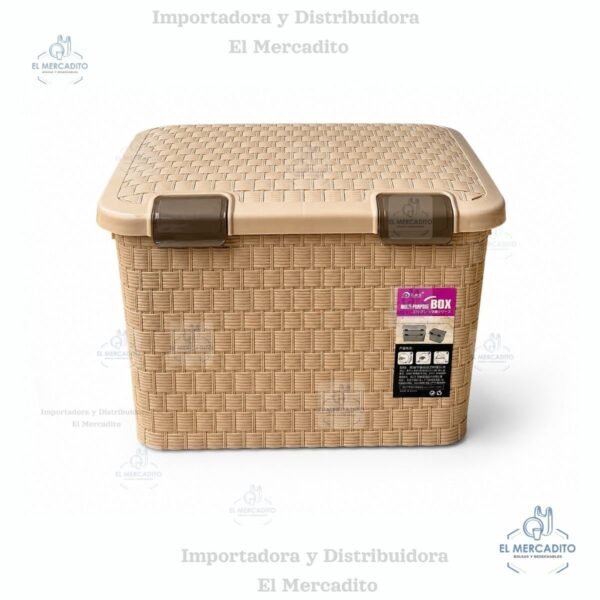 Caja Multi proposito plástica con rondines