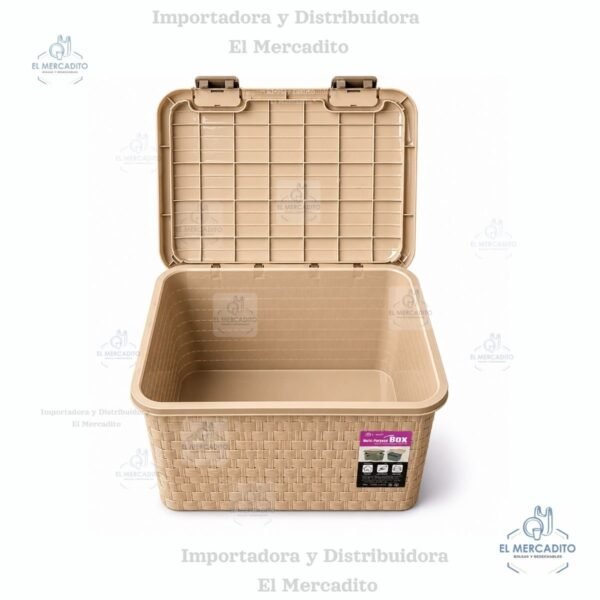 Caja Multi proposito plástica con rondines