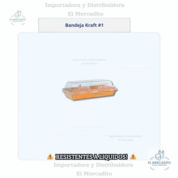 Cartón Bandeja Kraft  Con Tapa Transparente, disponible en 6 tamaños - #1