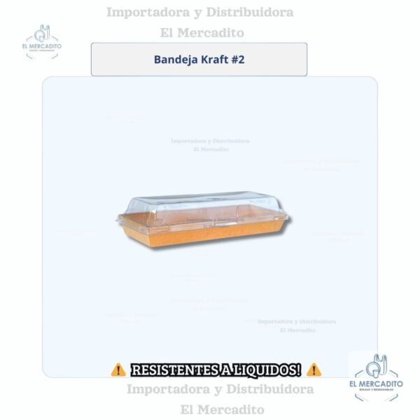 Cartón Bandeja Kraft  Con Tapa Transparente, disponible en 6 tamaños - #2