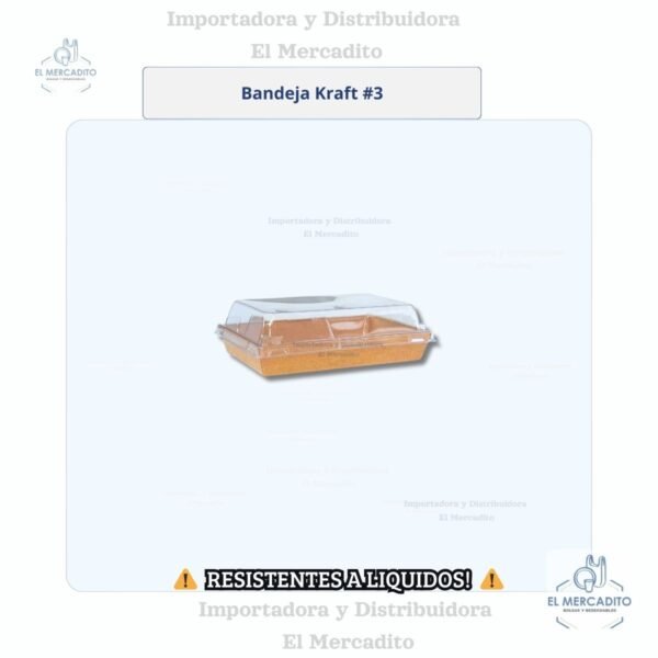 Cartón Bandeja Kraft  Con Tapa Transparente, disponible en 6 tamaños - #3