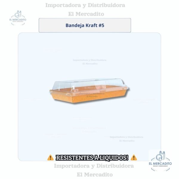 Cartón Bandeja Kraft  Con Tapa Transparente, disponible en 6 tamaños - #5