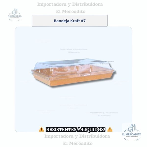 Cartón Bandeja Kraft  Con Tapa Transparente, disponible en 6 tamaños - #7