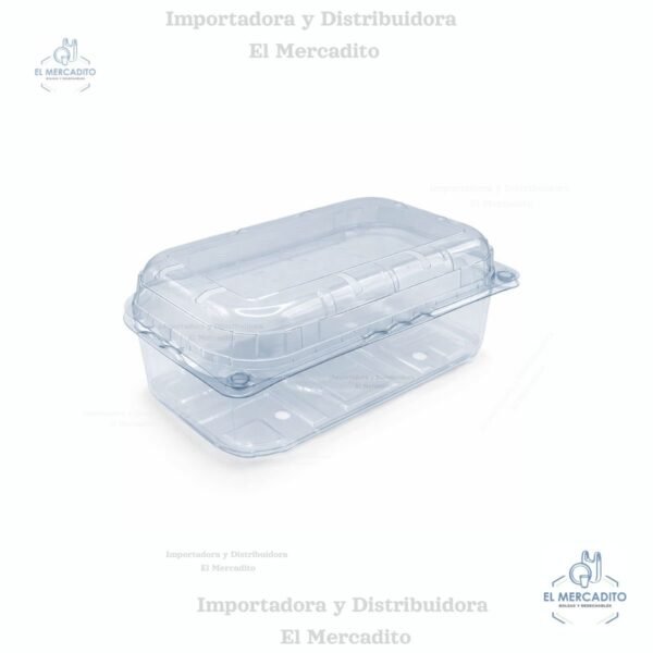 Burbuja para Fresa Mediana con huecos 18 x 10 x 7 cm