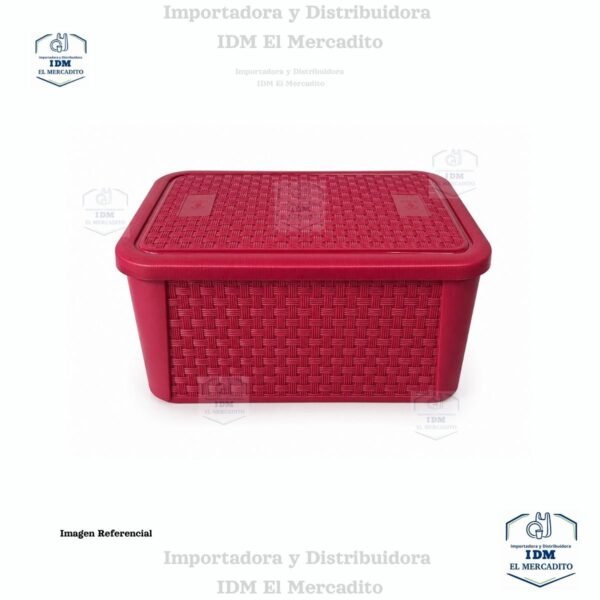 Copia-de-01-Plantilla-8.jpg Caja Ratan 7 Litros 28 x 19 x 13 cm